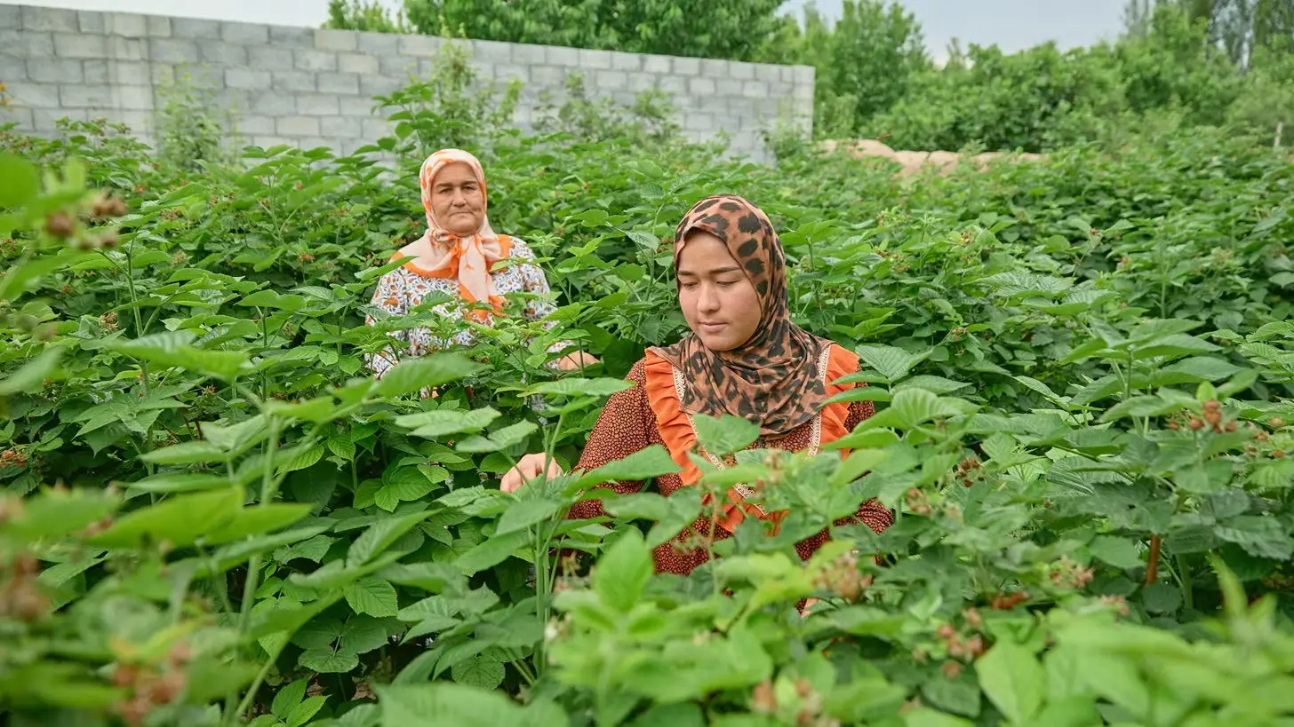 Reliable Water, Better Harvests: Why Irrigation Research Matters